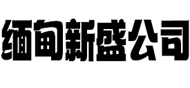 新盛公司官网
